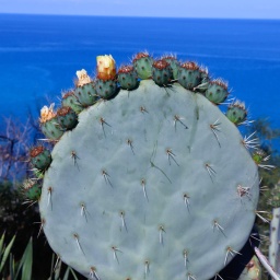 kalabrien_rundreise_2022w_12