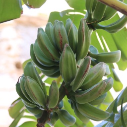 kalabrien_rundreise_2022w_17