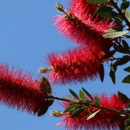 kalabrien_rundreise_2022w_35