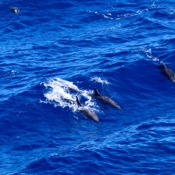 kalabrien_rundreise_2022w_39