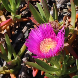 kalabrien_rundreise_2022w_42