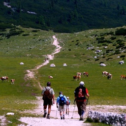 almbluetewanderung_2013_21