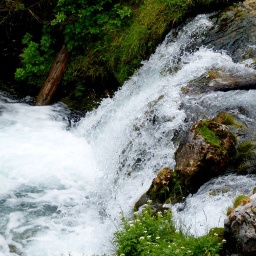 almbluetewanderung_2013_58