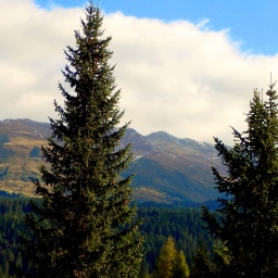 steinwanderung_2015_2