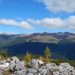 steinwanderung_2015_9