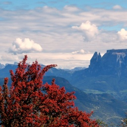 toerggelewanderung_2015_10