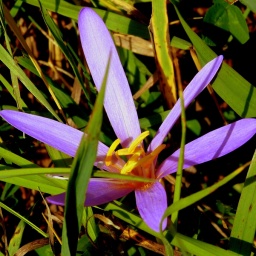 toerggelewanderung_2015_11