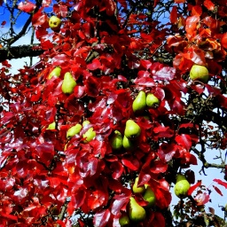 toerggelewanderung_2015_12