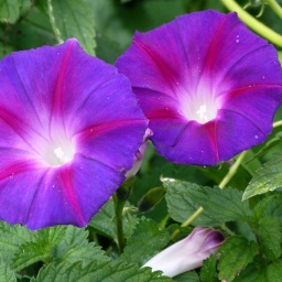 toerggelewanderung_2015_17