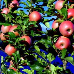 toerggelewanderung_2015_21