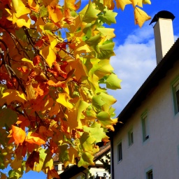 toerggelewanderung_2015_24