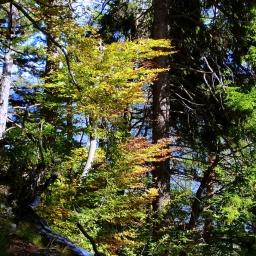 toerggelewanderung_2015_7