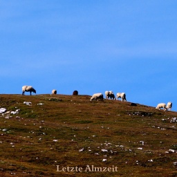 steinwanderung_altpragsertal_28