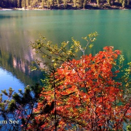 steinwanderung_altpragsertal_61