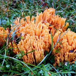 steinwanderung_2014_12