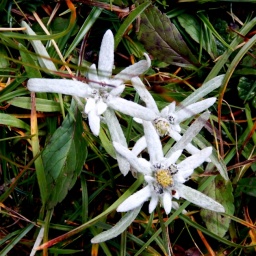 steinwanderung_2014_17