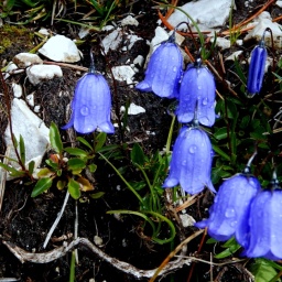 steinwanderung_2014_18