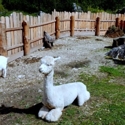 steinwanderung_2014_6