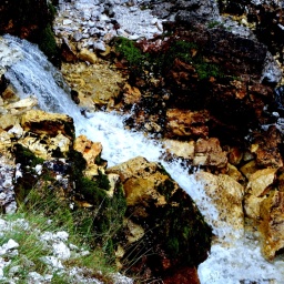 steinwanderung_2014_9