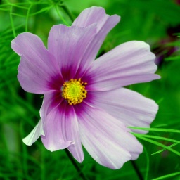 toerggelewanderung_tauferertal_34