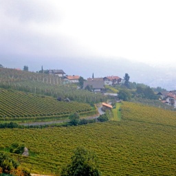 toerggelewanderung_2014_13