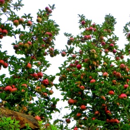 toerggelewanderung_2014_15