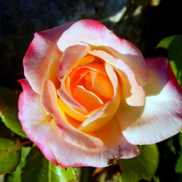 wanderwoche_cres_2015_2