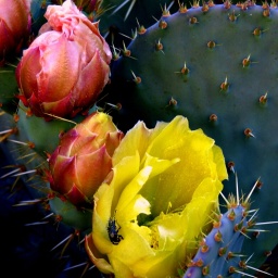 wanderwoche_cres_2015_22