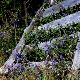 wanderwoche_cres_2015_23