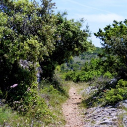 wanderwoche_cres_2015_24