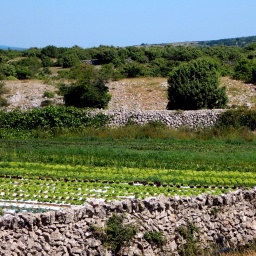 wanderwoche_cres_2015_3