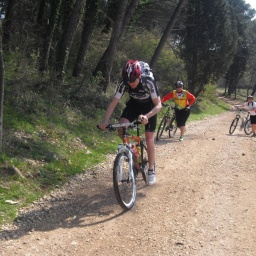 radfahren_alpenland_2