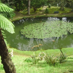 azoren_rundreise_2010_2