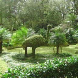 azoren_rundreise_2010_4