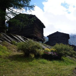 schweizer_hochalpen_2021_48