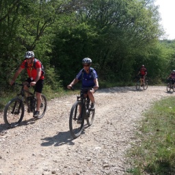 parenzana_radweg_2017_49