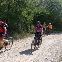 parenzana_radweg_2017_50