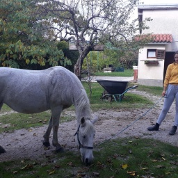 wanderreise_slowenien2019_35