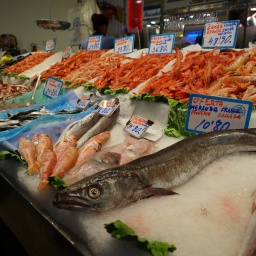 balearen_rundreise_2016_35