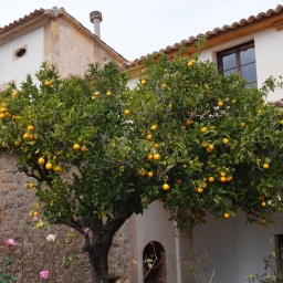 balearen_rundreise_2016_51