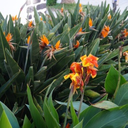 rundreise_kanaren_2016_18