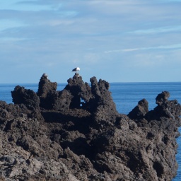 rundreise_kanaren_2016_22