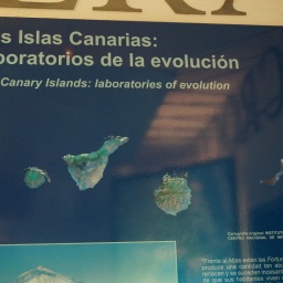 rundreise_kanaren_2016_51