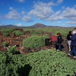 rundreise_kanaren_2016_65