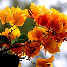 kappadokien_rundreise_2013_27