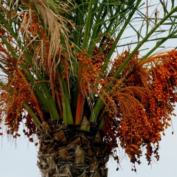 kappadokien_rundreise_2013_30