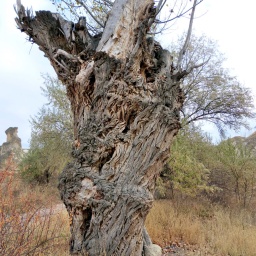 kappadokien_rundreise_2013_75