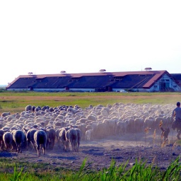 ungarn_wanderreise_25