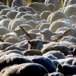 ungarn_wanderreise_26