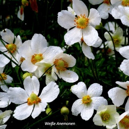 ungarn_wanderreise_7